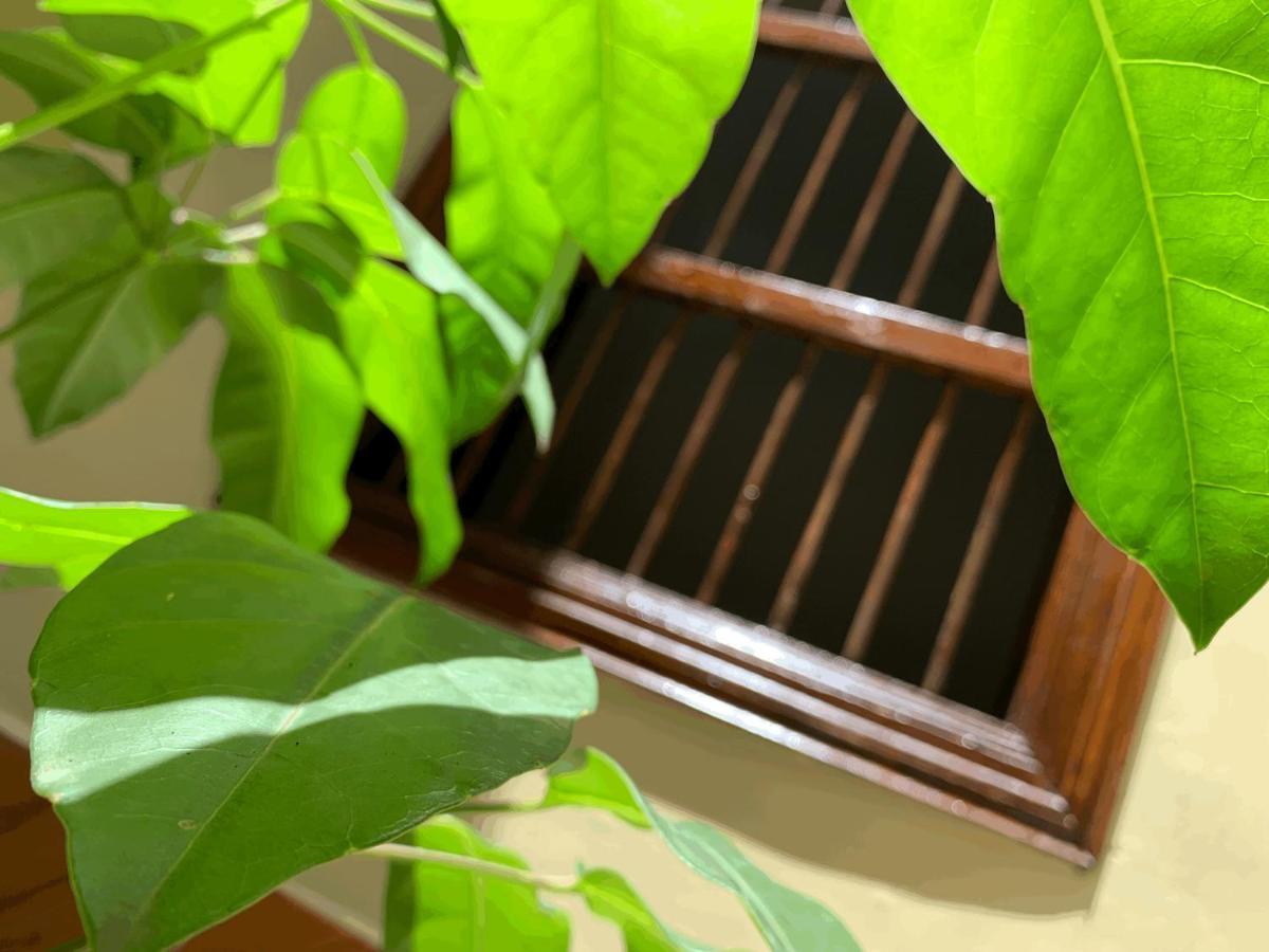 메딜린 Casa Grande 아파트 외부 사진