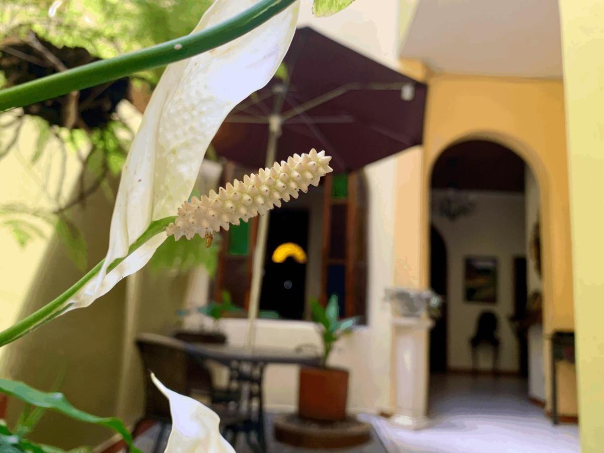 메딜린 Casa Grande 아파트 외부 사진