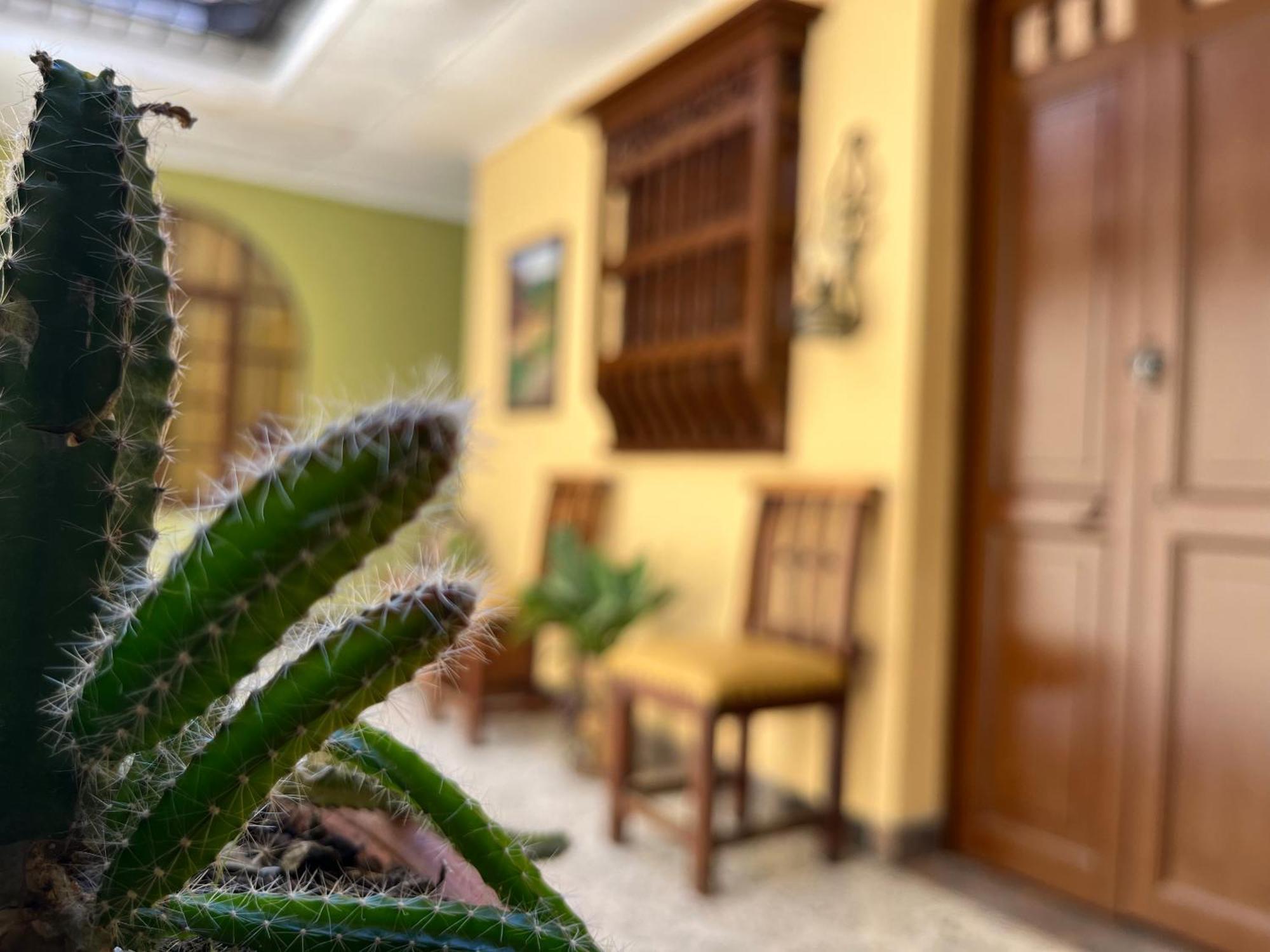 메딜린 Casa Grande 아파트 외부 사진